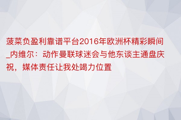 菠菜负盈利靠谱平台2016年欧洲杯精彩瞬间_内维尔：动作曼联球迷会与他东谈主通盘庆祝，媒体责任让我处竭力位置